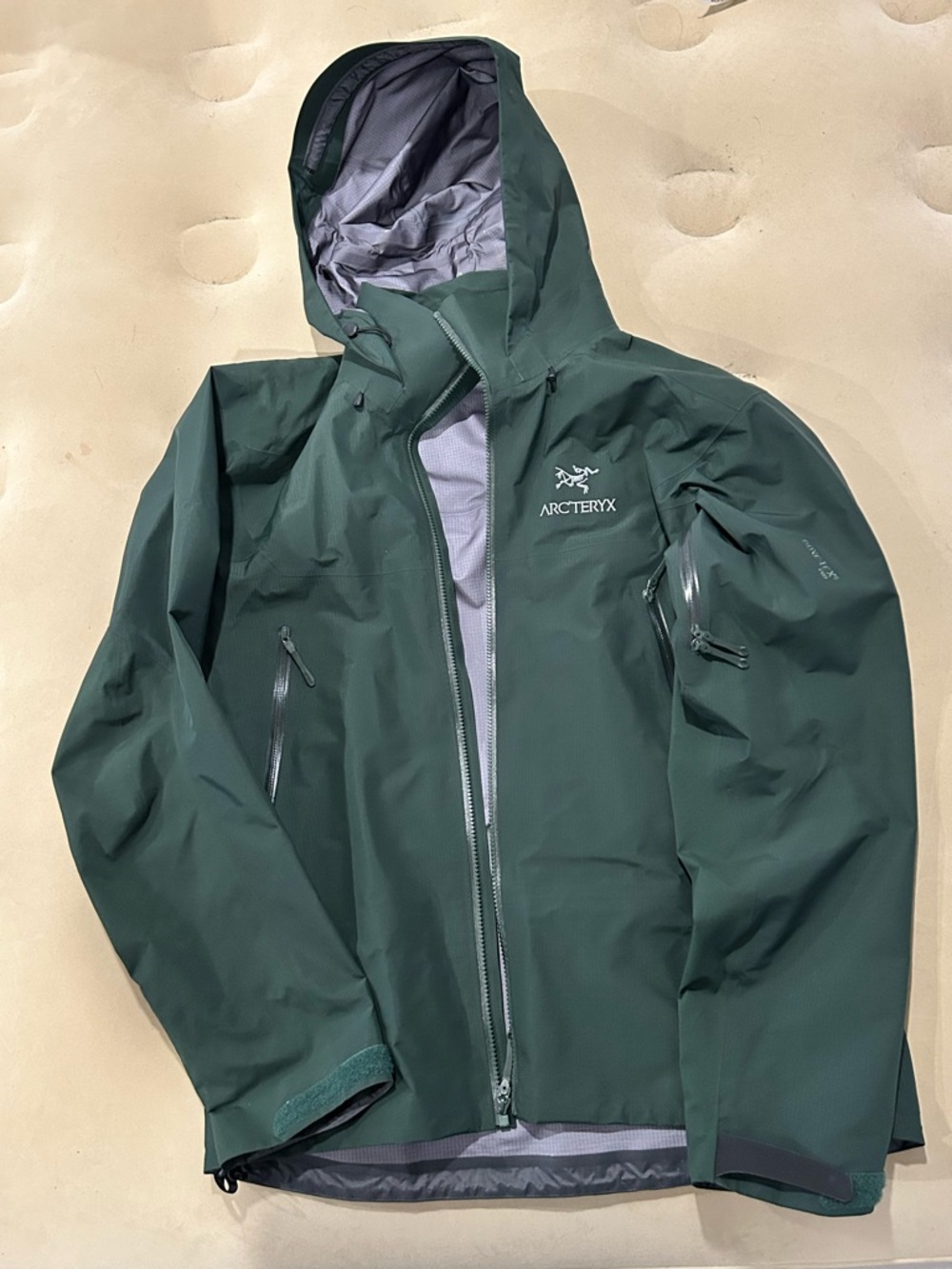 Arc'teryx Beta AR Men's Forest Green Gore-Tex Pro Hooded performance shell